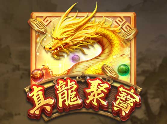 ZG電子 介紹圖片 3
