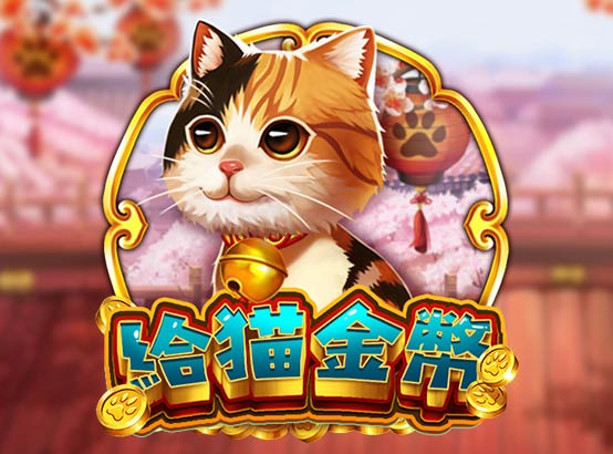 ZG電子 介紹圖片 4